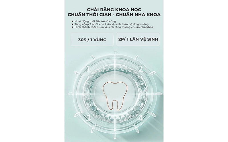 Bàn chải điện Magic B20 - Hàng chính hãng