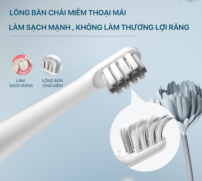 Bàn chải điện Bomidi T501 - Hàng chính hãng
