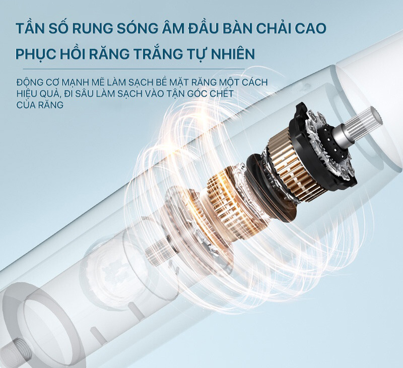 Bàn chải điện Bomidi T501 - Hàng chính hãng
