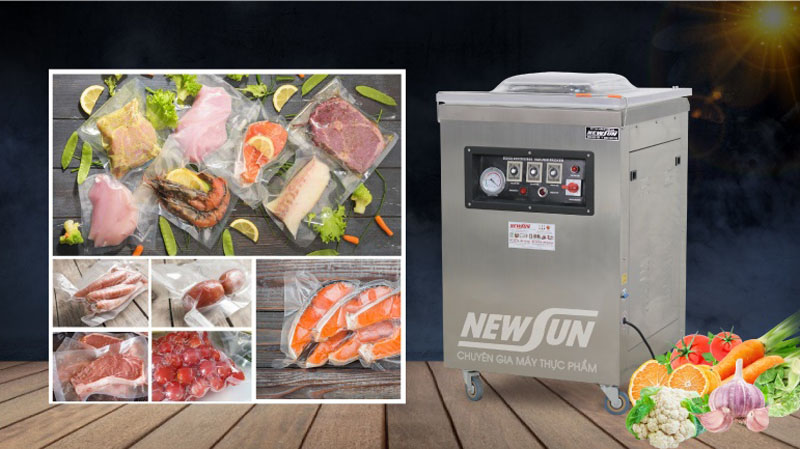 Máy hút chân không Newsun DZQ600 Promax - Hàng chính hãng