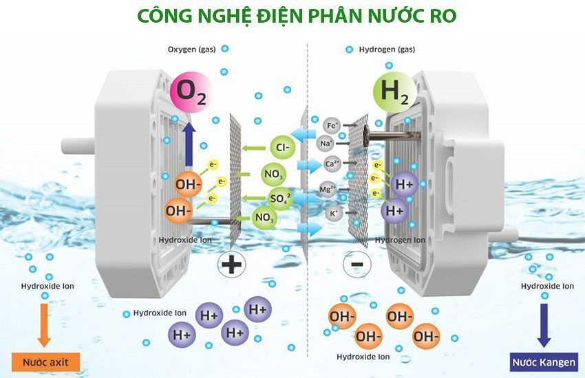 Máy lọc nước Hydrogen ion kiềm Kangaroo KG100EO - Hàng chính hãng