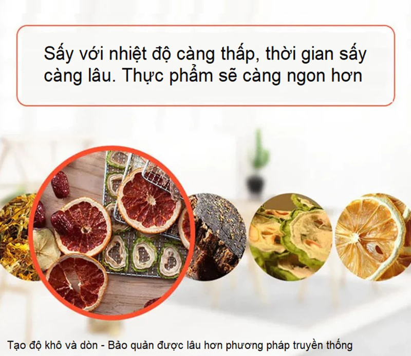 Máy sấy thực phẩm Septree DBC-08A01 - Hàng chính hãng