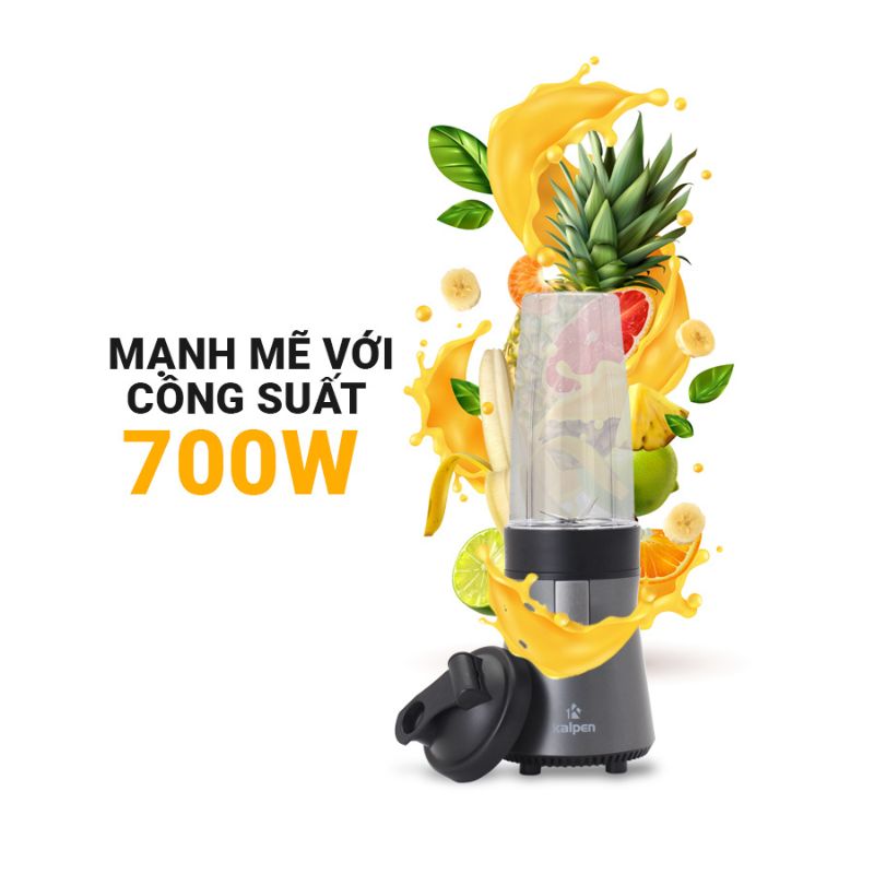 Máy xay sinh tố Kalpen B5 - Hàng chính hãng