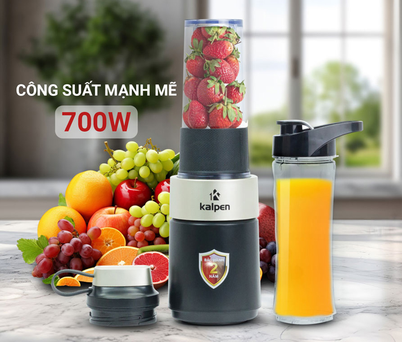 Máy xay sinh tố Kalpen B6 - Hàng chính hãng