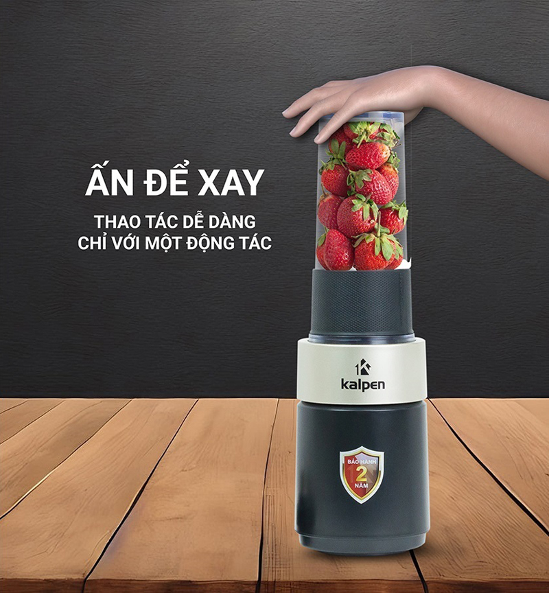 Máy xay sinh tố Kalpen B6 - Hàng chính hãng