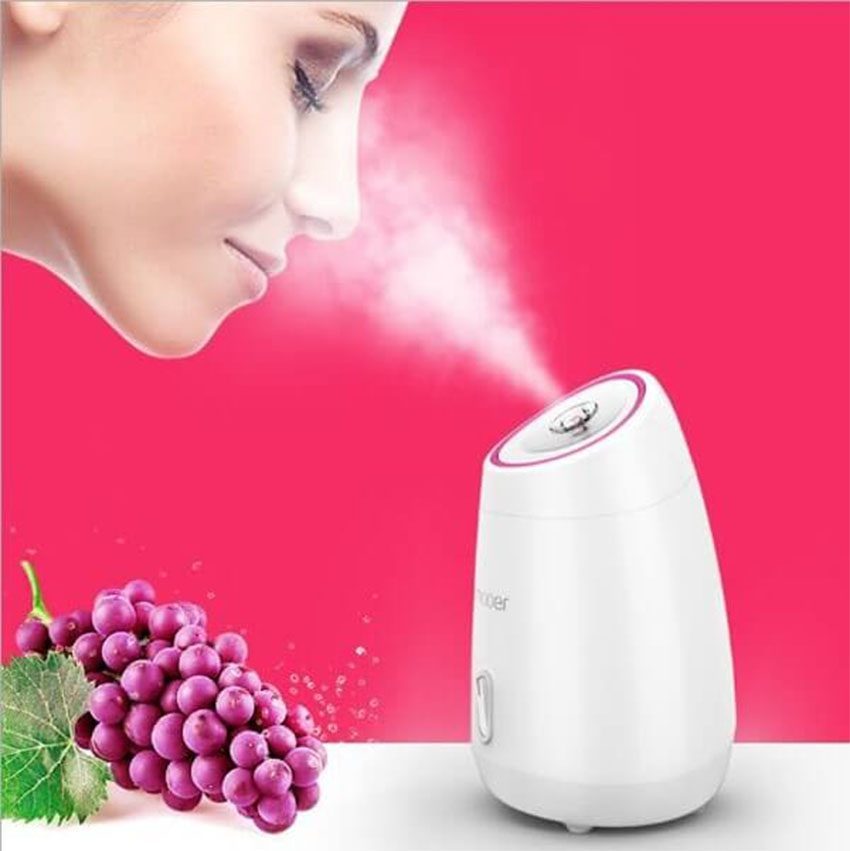 Máy xông hơi da mặt hoa quả tươi Maoer MR-Z1 - Hàng chính hãng