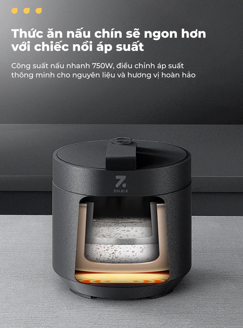 Nồi áp suất điện đa năng Zolele EP301 - Hàng chính hãng