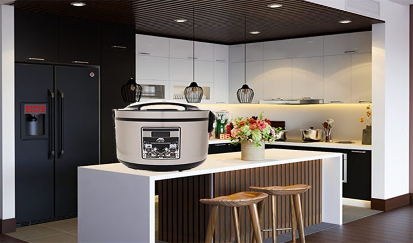 Nồi làm tỏi đen Iruka I-49 - Hàng chính hãng