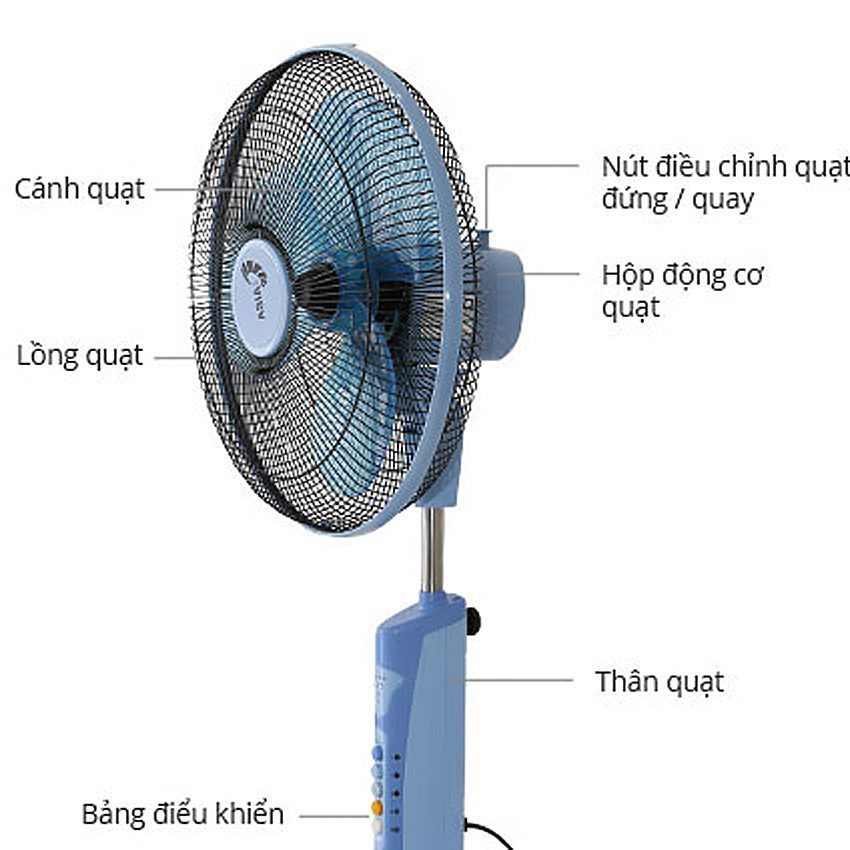 Quạt đứng Asia D16010 - Hàng chính hãng