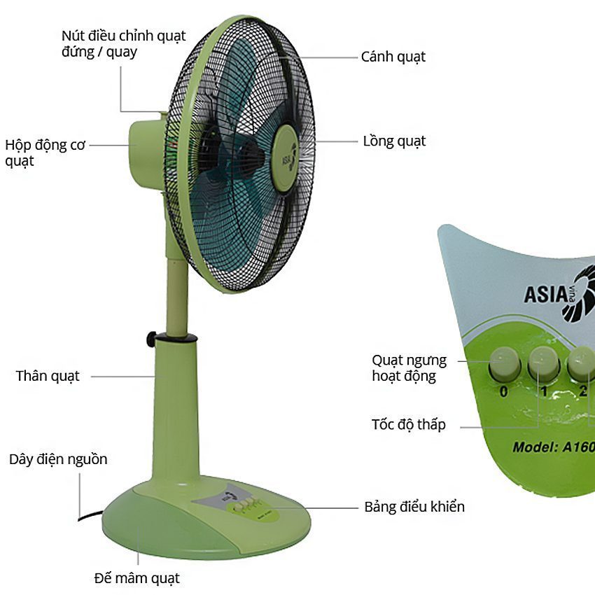 Quạt lửng Asia A16001 - Hàng chính hãng