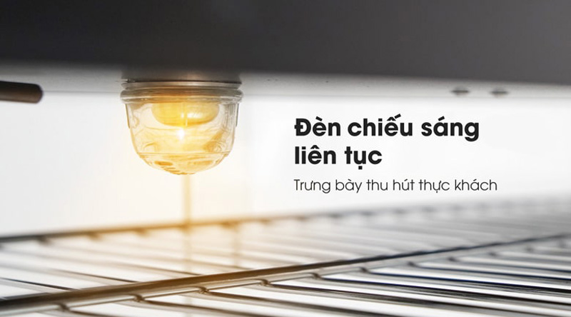 Tủ giữ nóng thức ăn Newsun HW-60-2 - Hàng chính hãng