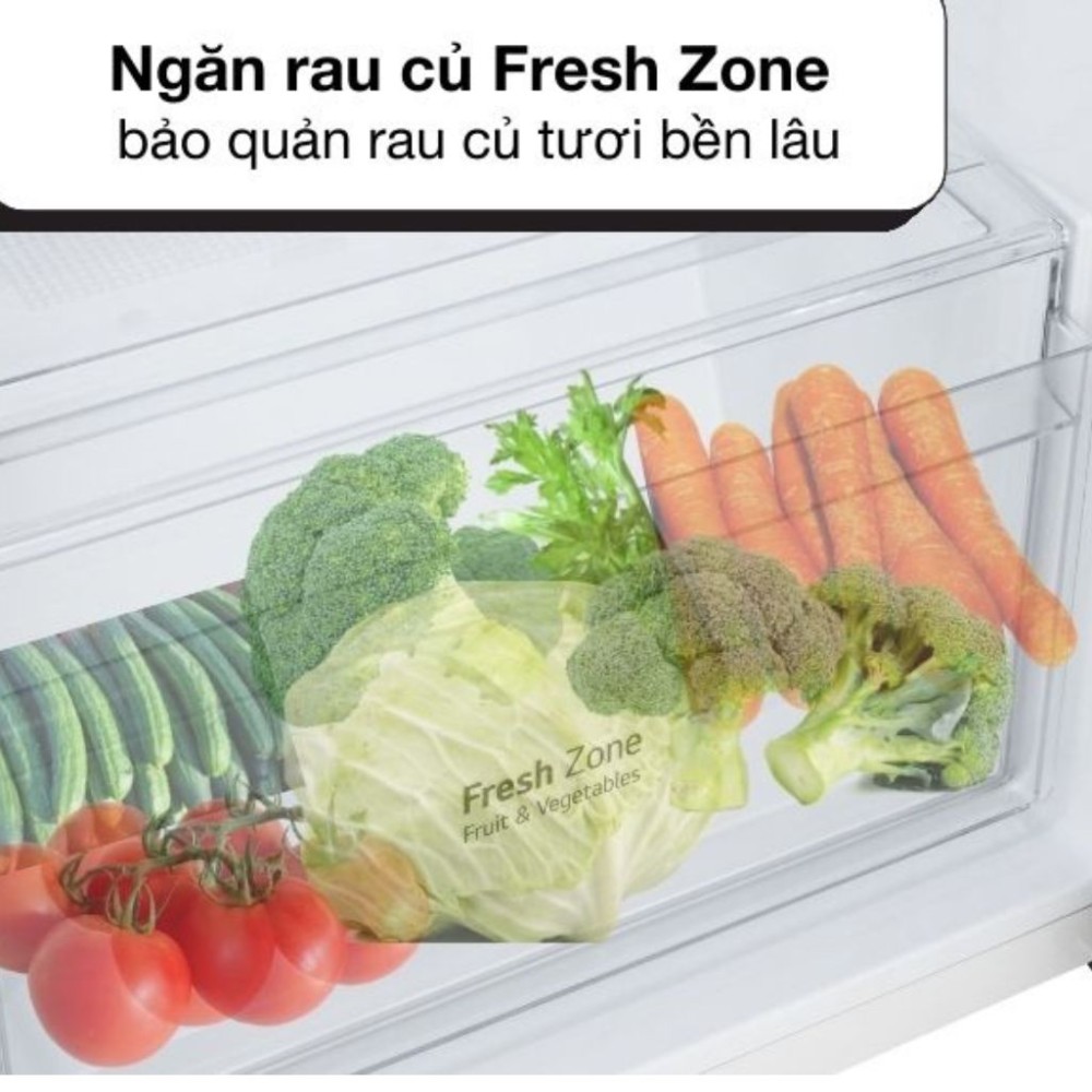 Tủ lạnh LG 217 lít LTB21BLMD - Hàng chính hãng