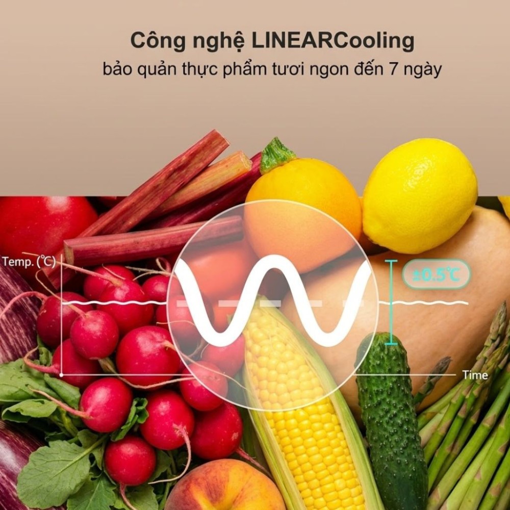 Tủ lạnh LG Inverter 335 lít LTB33BLMA - Hàng chính hãng