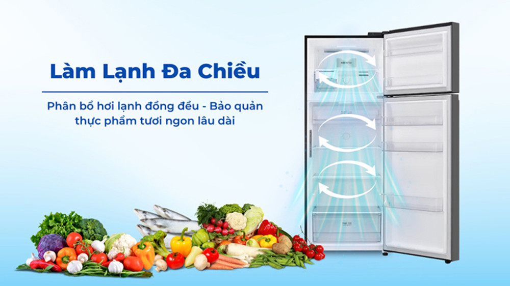 Tủ lạnh LG inverter 461 lít LTB46BLG - Hàng chính hãng