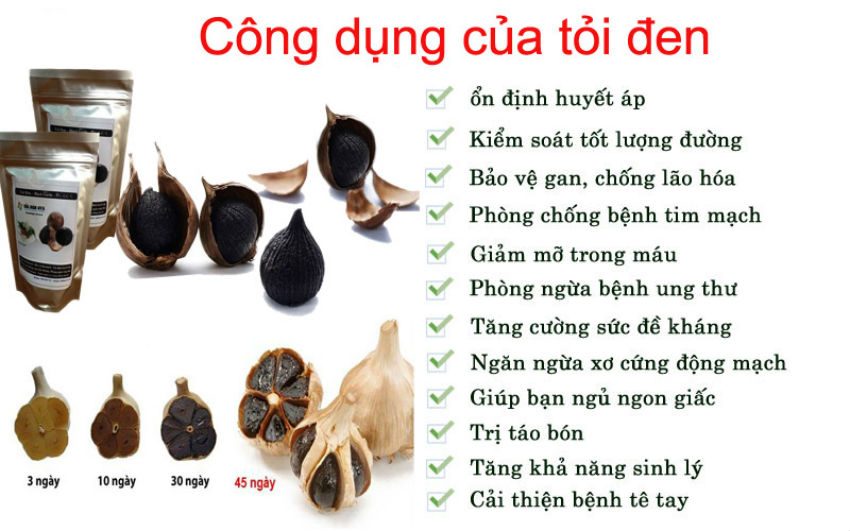 Máy làm tỏi đen Saiko BGF-900 - Hàng chính hãng