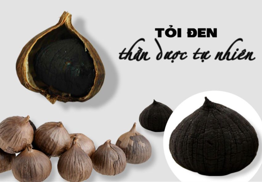 Máy làm tỏi đen Saiko BGF-900 - Hàng chính hãng