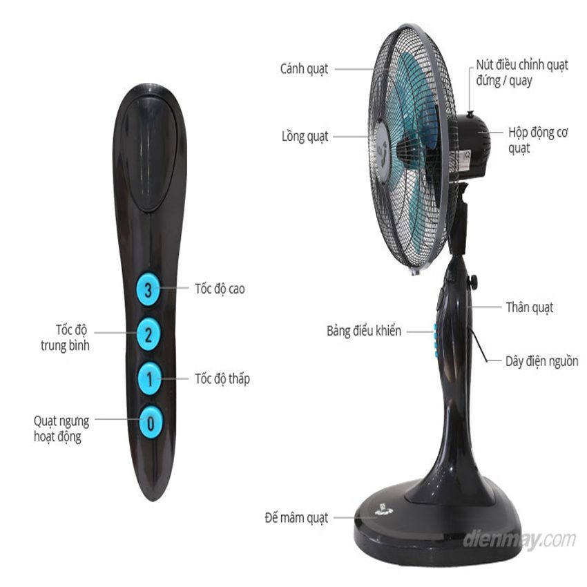 Quạt đứng Asia D16015 - Hàng chính hãng