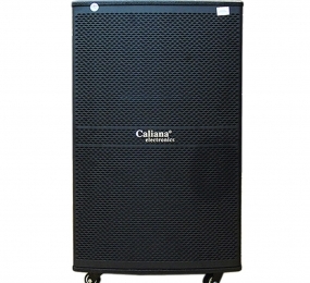 Loa di động Caliana WD-15A