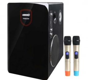 Loa karaoke mini Asanzo AL-3600 - Hàng chính hãng