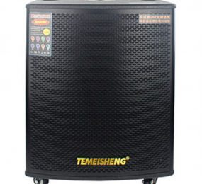 Loa kéo di động Temeisheng GD18-03 - Hàng chính hãng