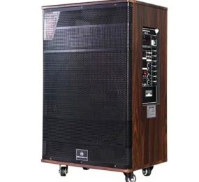Loa kéo karaoke Maxxsound MAX15A - Hàng chính hãng