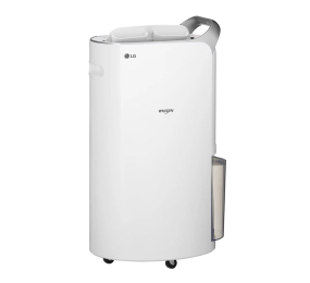 Máy hút ẩm hỗ trợ lọc không khí LG Whisen DQ202PBBC