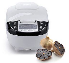 Máy làm tỏi đen Tiross TS905 - Hàng chính hãng