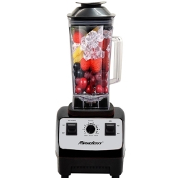 Máy xay sinh tố Raiden RD-620ST - Hàng chính hãng