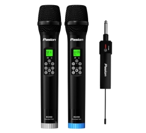 Micro không dây tích hợp DSP Paramax PASION ECHO - Hàng chính hãng