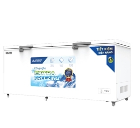 Tủ đông Hòa Phát HPF AD6783 783 lít - Hàng chính hãng