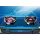 Bếp gas đôi hồng ngoại Bluestar NG-5950C - Hàng chính hãng
