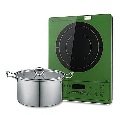 Bếp điện từ đơn Taka I1V - Hàng chính hãng